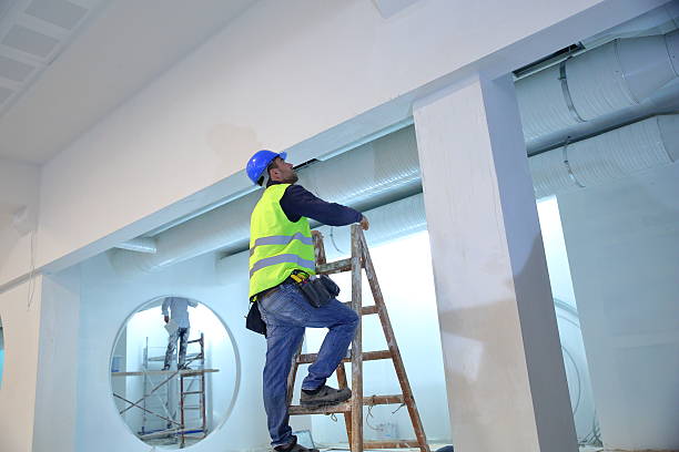  Citrus City, TX Mold Removal Pros